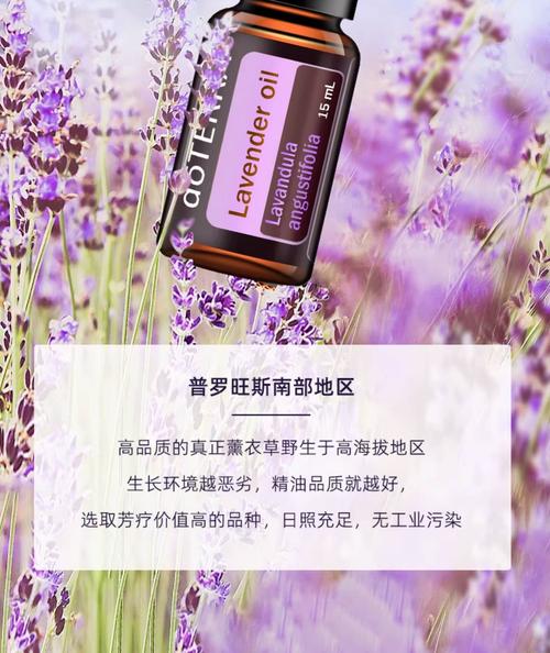 祛痘印哪种薰衣草精油最有效?-图1 祛痘印哪种薰衣草精油最有效?-图1