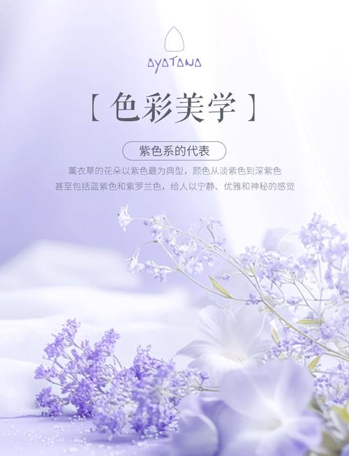 单方薰衣草精油祛痘印真的有效吗？-图3