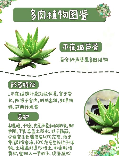新鲜芦祛痘怎么用才有效？-图2