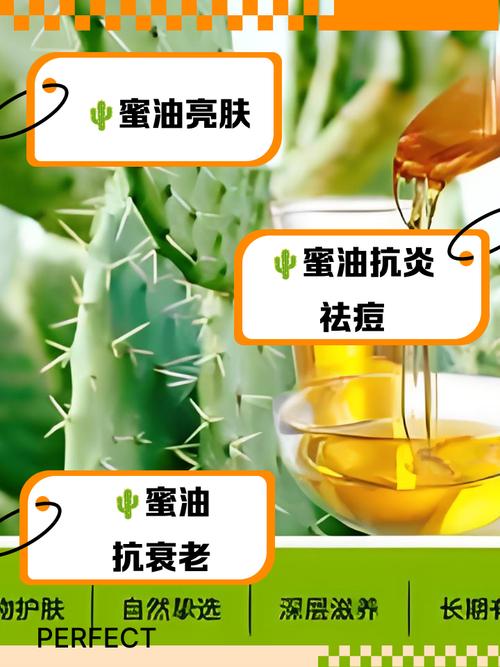 仙人掌祛痘一天该用几次？-图3