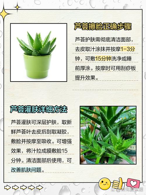 木立芦荟祛痘膏效果真的好吗？-图1