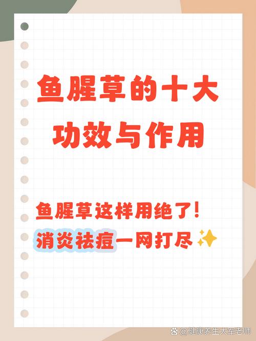 鱼腥草外敷能祛痘吗？-图2